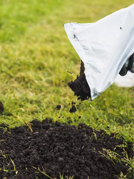 Mushroom Compost 1