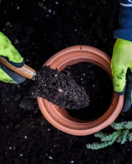 Potting Soil 1
