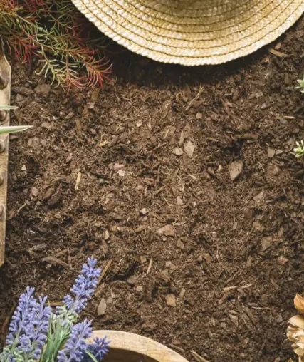 Topsoil 1