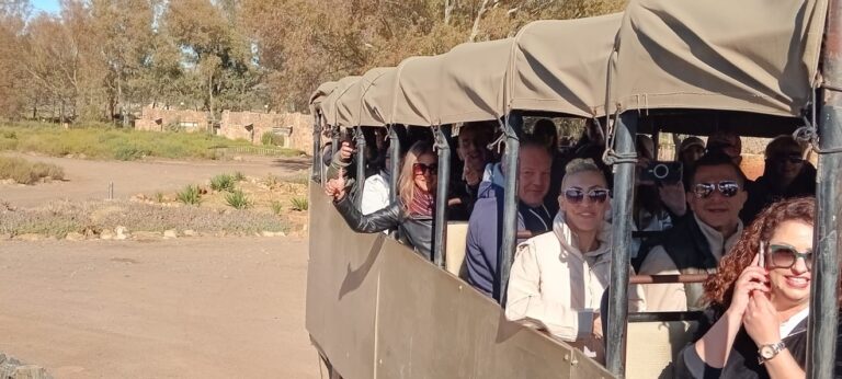 Safari Cape Town Thumbnail 768x346