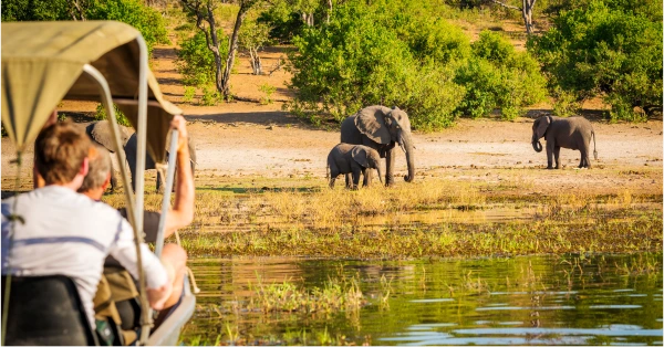 Winelands game drive