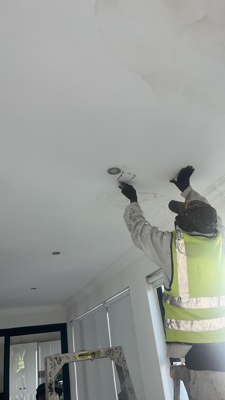 ceiling painting strand