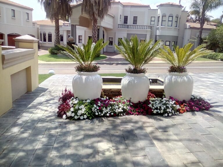 plant and nursery pretoria 768x576