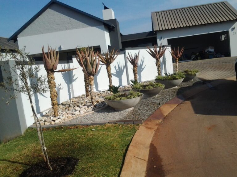 stone paving 768x576